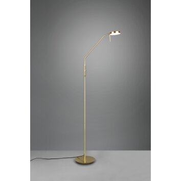 Trio-Leuchten MONZA Floor Lamp LED brass, 1-light source