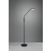 Trio-Leuchten MONZA Floor Lamp LED black, 1-light source