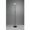 Trio-Leuchten MONZA Floor Lamp LED black, 1-light source