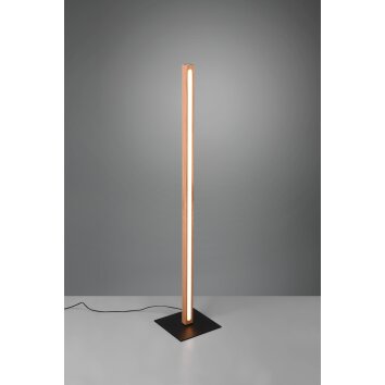 Trio-Leuchten BELLARI Floor Lamp LED Light wood, 1-light source