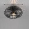 Trio-Leuchten JOHANN Ceiling Light black, 1-light source