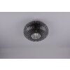 Trio-Leuchten JOHANN Ceiling Light black, 1-light source