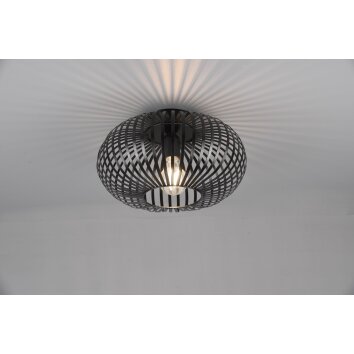 Trio-Leuchten JOHANN Ceiling Light black, 1-light source