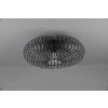 Trio-Leuchten JOHANN Ceiling Light black, 1-light source