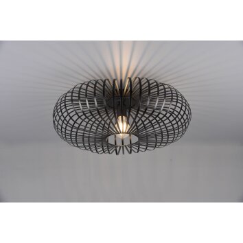 Trio-Leuchten JOHANN Ceiling Light black, 1-light source