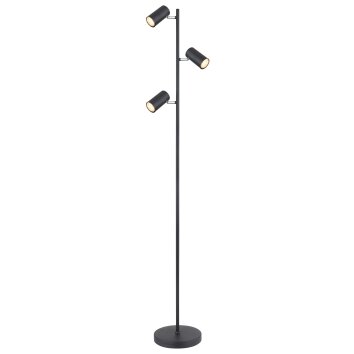 Globo ROBBY Floor Lamp black, 3-light sources