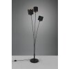 Reality TOMMY Floor Lamp black, 3-light sources