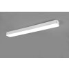 Reality ASTERION Ceiling Light LED white, 1-light source, Remote control