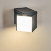 SWANEK Outdoor Wall Light LED anthracite, 1-light source