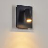 SAETER Outdoor Wall Light LED black, 1-light source