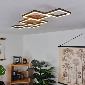 ZOCCA Ceiling Light LED brown, Dark wood, 1-light source
