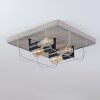 HODNE Ceiling Light grey, Ecru, black, 4-light sources