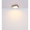 Globo DORO Ceiling Light LED Wood like finish, black, 1-light source, Remote control