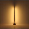 Globo DORO Floor Lamp LED Wood like finish, black, 1-light source