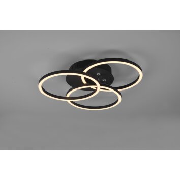 Reality CIRCLE Ceiling Light LED black, 1-light source, Remote control