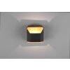 Trio-Leuchten ARINO Wall Light LED black, 1-light source