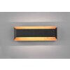 Trio-Leuchten ARINO Wall Light LED black, 1-light source