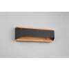 Trio-Leuchten ARINO Wall Light LED black, 1-light source