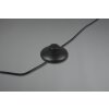 Trio-Leuchten JIVE Floor Lamp LED black, 1-light source