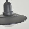 POHEI Outdoor Wall Light anthracite, 1-light source, Motion sensor