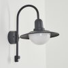 POHEI Outdoor Wall Light anthracite, 1-light source, Motion sensor