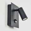 SAETER Outdoor Wall Light LED black, 1-light source, Motion sensor