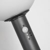 BUBODEFO path light anthracite, 1-light source, Motion sensor