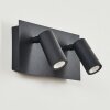 SAETER Outdoor Wall Light LED black, 2-light sources, Motion sensor