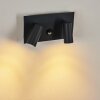 SAETER Outdoor Wall Light LED black, 2-light sources, Motion sensor