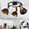 Ceiling Light Blackburn black-gold, 3-light sources