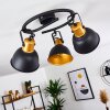 Ceiling Light Blackburn black-gold, 3-light sources