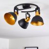 Ceiling Light Blackburn black-gold, 3-light sources