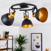 Ceiling Light Blackburn black-gold, 3-light sources