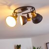 Ceiling Light Blackburn black-gold, 3-light sources