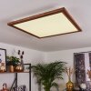 RAIMEA Ceiling Light LED white, 1-light source