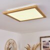 RAIMEA Ceiling Light LED white, 1-light source