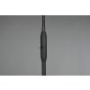 Reality TOMMY Floor Lamp black, 1-light source