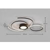Trio-Leuchten JIVE Ceiling Light LED black, 1-light source, Remote control
