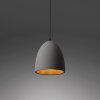 Paul-Neuhaus ETON Pendant Light black, 1-light source