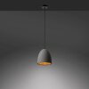 Paul-Neuhaus ETON Pendant Light black, 1-light source