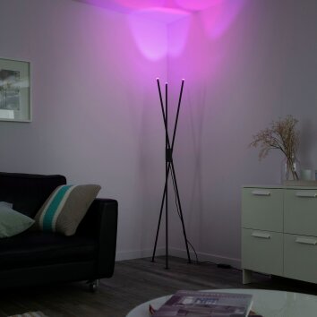 Paul-Neuhaus Q-PETER Floor Lamp LED anthracite, 3-light sources, Remote control