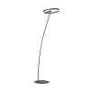 Paul-Neuhaus TITUS Floor Lamp anthracite, 1-light source