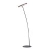 Paul-Neuhaus TITUS Floor Lamp anthracite, 1-light source