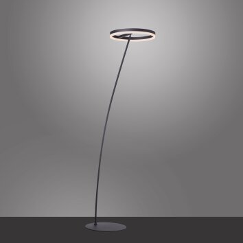 Paul-Neuhaus TITUS Floor Lamp anthracite, 1-light source