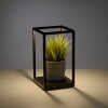 Paul-Neuhaus CONTURA Table lamp LED black, 2-light sources