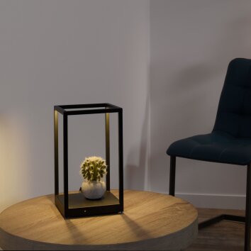 Paul-Neuhaus CONTURA Table lamp LED black, 2-light sources