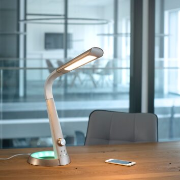 Paul-Neuhaus BILL Table lamp LED brass, 2-light sources