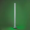 Paul-Neuhaus Q-ADRIANA Floor Lamp LED aluminium, 2-light sources, Remote control