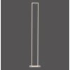 Paul-Neuhaus Q-KAAN Floor Lamp LED brushed steel, 2-light sources, Remote control