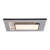 Paul-Neuhaus Q-ALTA Ceiling Light LED black, 1-light source, Remote control